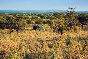 jeep con turistas en safari en serengeti, tanzania, áfrica. foto