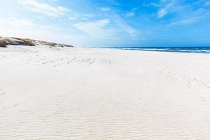 Wide summer beach and dunes in Slowinski National Park, Baltic sea, Poland. photo