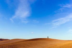 Tuscany landscape with a lonely cypress tree, Italy. photo