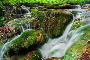 Waterfall in forest. Crystal clear water. photo