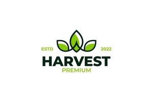 Flat harvest leaf logo design vector template illustration