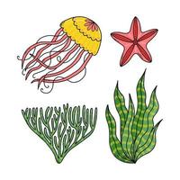 Set cute doodle cartoon sea jellyfish, starfish, algae. Vector illustration.