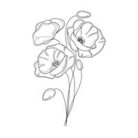 Poppies flowers line art vector illustration.Three poppy flowers bouquet on white background.Black and white botanical sketch.