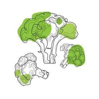 Green broccoli abstract line art on white background.Doodle food vegetables vector illustration on white background.Vegan nature organic farm market illustration sketch drawing