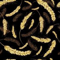 Vector seamless illustration pattern of ears of wheat on a black background.Hand drawn in cartoon doodle style.