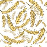 Seamless grain ears of wheat background.Abstract pattern with yellow wheat.Vector design for packaging,textiles,etc. vector