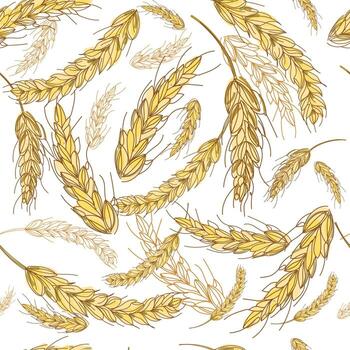 Seamless grain ears of wheat background.Abstract pattern with yellow wheat.Vector design for packaging,textiles,etc. vector