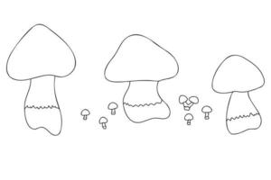 Mushrooms painted in white on black, intended for printing postcards vector