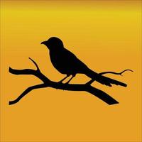siluetas de pájaros lindos, crepúsculo: bellas imágenes de siluetas de pájaros. vector