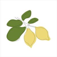 minimalistic lemon branch line art vector