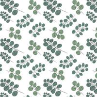 minimalism eucalyptus pattern