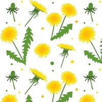 seamless floral pattern. Background with dandelions vector