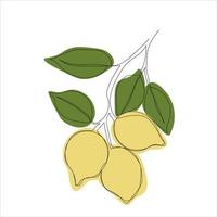 minimalistic lemon branch line art vector