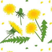 seamless floral pattern. Background with dandelions vector