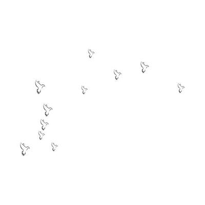 pigeon background logo