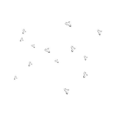 pigeon background logo