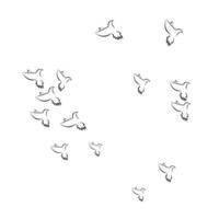 pigeon background logo vector