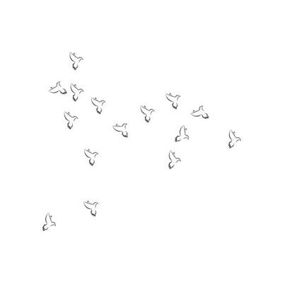 pigeon background logo