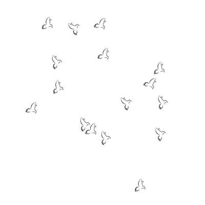 pigeon background logo