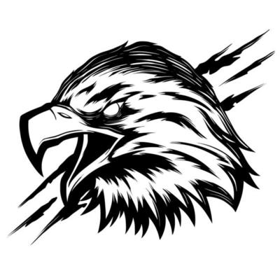 Hawk falcon illustration vector mascot logo