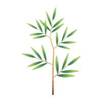 BamYellow Bamboo tree designs in a single style vector