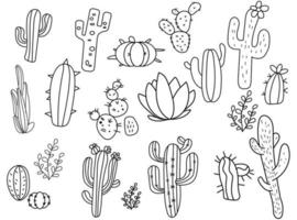 conjunto de cactus de contorno dibujado a mano. vector