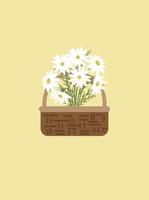 daisy flowers in wicker basket. vector