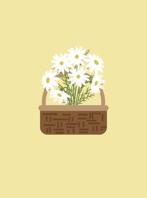 daisy flowers in wicker basket.