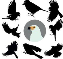 siluetas de aves negras vector