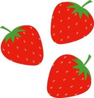 Vector illustration of strawberries used for magazines, books, food applications, posters, menu covers, web pages.