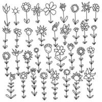 Set of contour doodle flowers with different types of petals, fantasy ornate plants for decoration vector