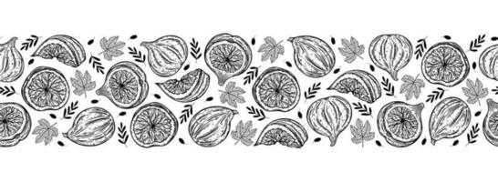 Figs seamless vector border. Sweet garden fruits whole, half, slice. Sketch of fresh berry with branches, leaves. Monochrome outline of mediterranean plant. Hand drawn botanical line art