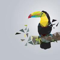 Toucan Polygonal background vector