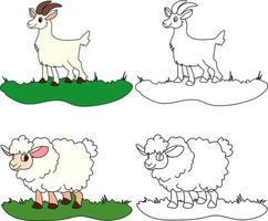 ovejas y cabras para colorear libro vector