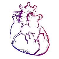 Cardiovascular vector image