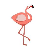 pink flamingo. bird. vector illustration