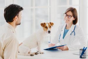 Dog owner comes with heart diseased animal to vet for checkup. Jack russell terrier sits at examination table in veterinary clinic. Friendly woman vet writes down prescription for sick animal photo