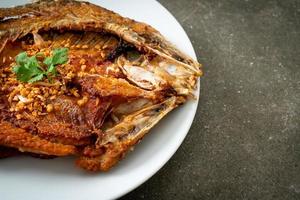 Fried Sea Bass Fish with Garlic photo