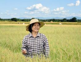 Portrait of asian senior elderly woman holds Sickle and ears of rice in the middle of paddy rice field, soft and selective focus, concept for happy retirement in daily life. photo