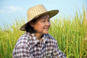 Portrait of elderly asian woman who wears palm leaf hat and checkered shirt, sits by the yellow rice paddy field and looking up on the sky, soft and selective focus, happy farmer concept. photo