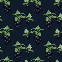 Summer pattern of black currant branches vector
