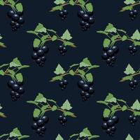 Summer pattern of black currant branches vector