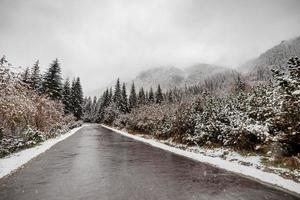 scenic view of the road with snow and mountain and giant trees background in winter season. Morske Oko photo