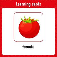 Learning cards for kids. Vegetable. Tomato. vector