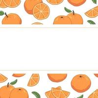 Horizontal cute frame with different oranges and leaves. Vector illustration template.