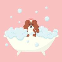 perro en un baño de burbujas. cuidado de mascotas. bañar al perro en el baño. ilustración vectorial en estilo de dibujos animados. vector