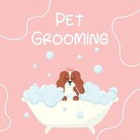 Grooming salon. Banner for grooming salon. Vector illustration in cartoon style. Cute spaniel in a bubble bath. Pet care.