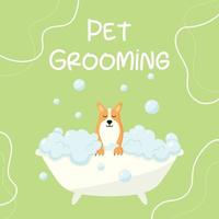 Grooming salon. Banner for grooming salon. Vector illustration in cartoon style. Cute corgi in a bubble bath. Pet care.