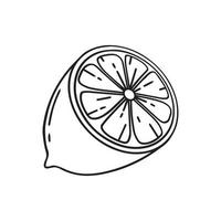 Half a lemon. Doodle style. Vector illustration. Half lime. Lemon slice.