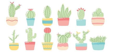 Set of cacti in pots. Houseplants. Varieties of cacti. Vector illustration in cartoon style.